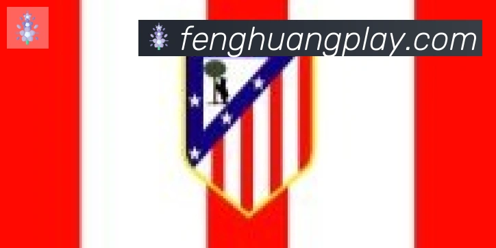 凤凰体育合作伙伴